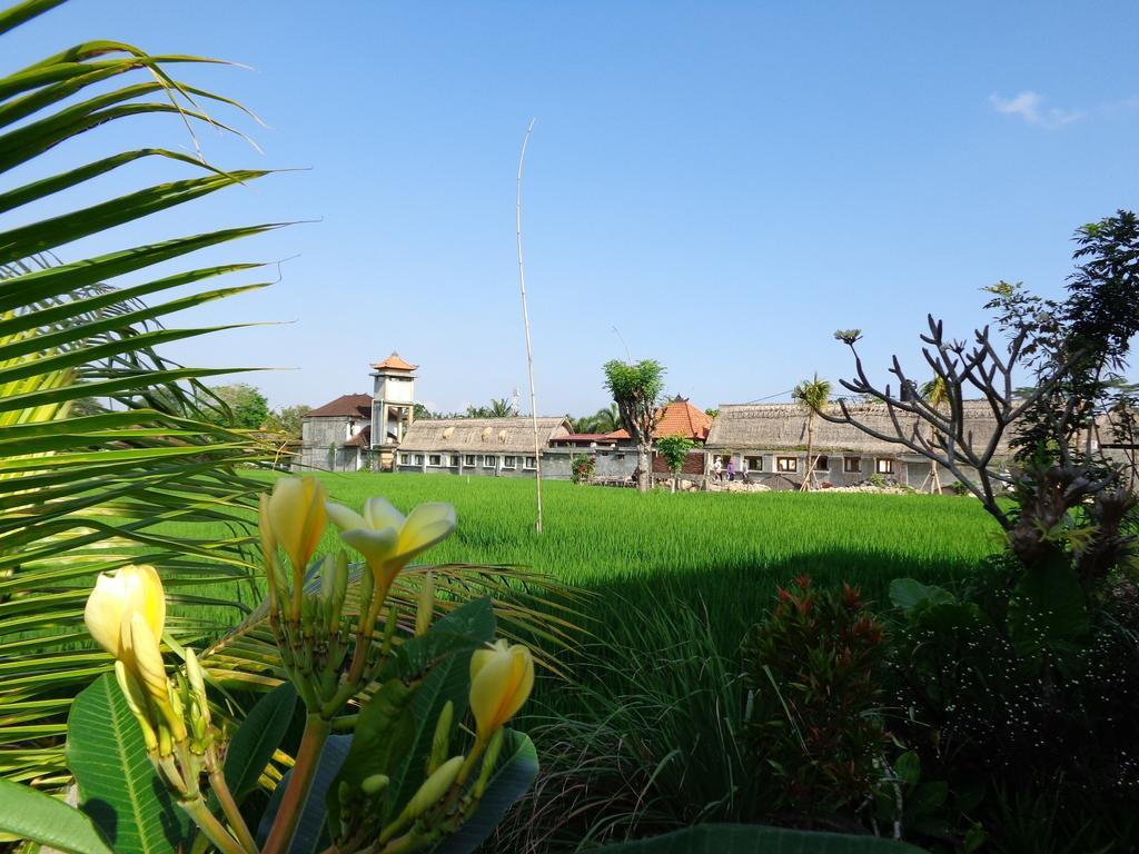 Bening Bungalow Ubud Kültér fotó