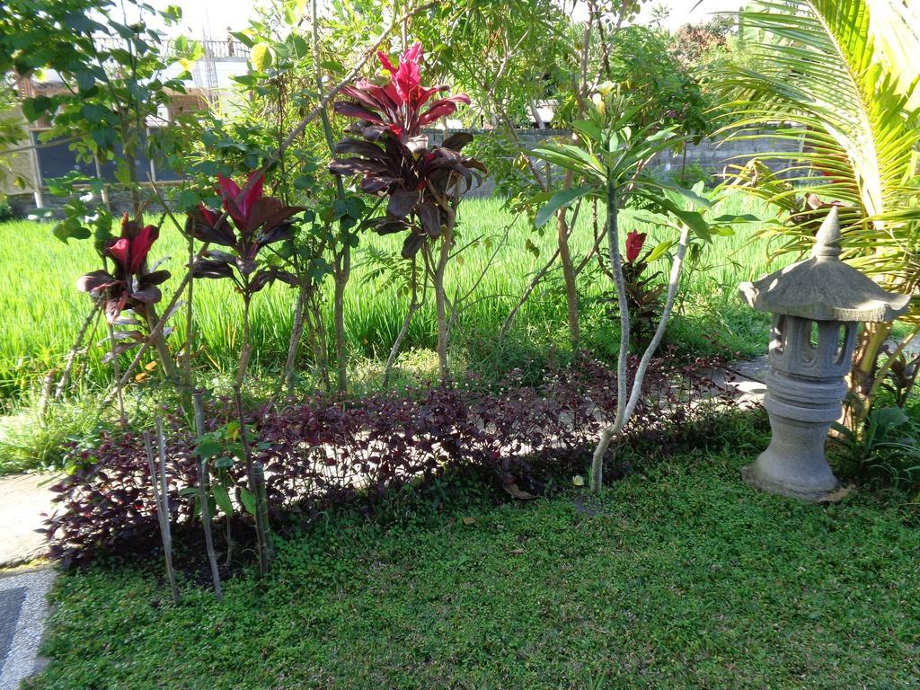 Bening Bungalow Ubud Kültér fotó