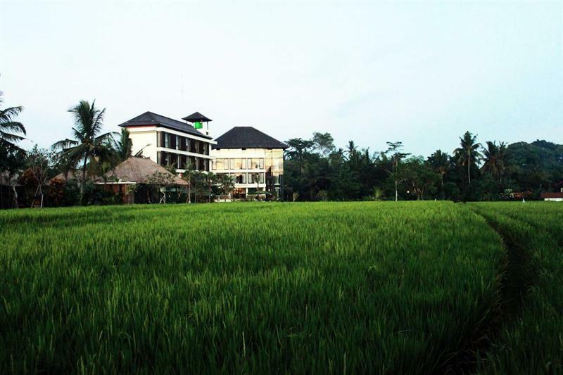 Bening Bungalow Ubud Kültér fotó